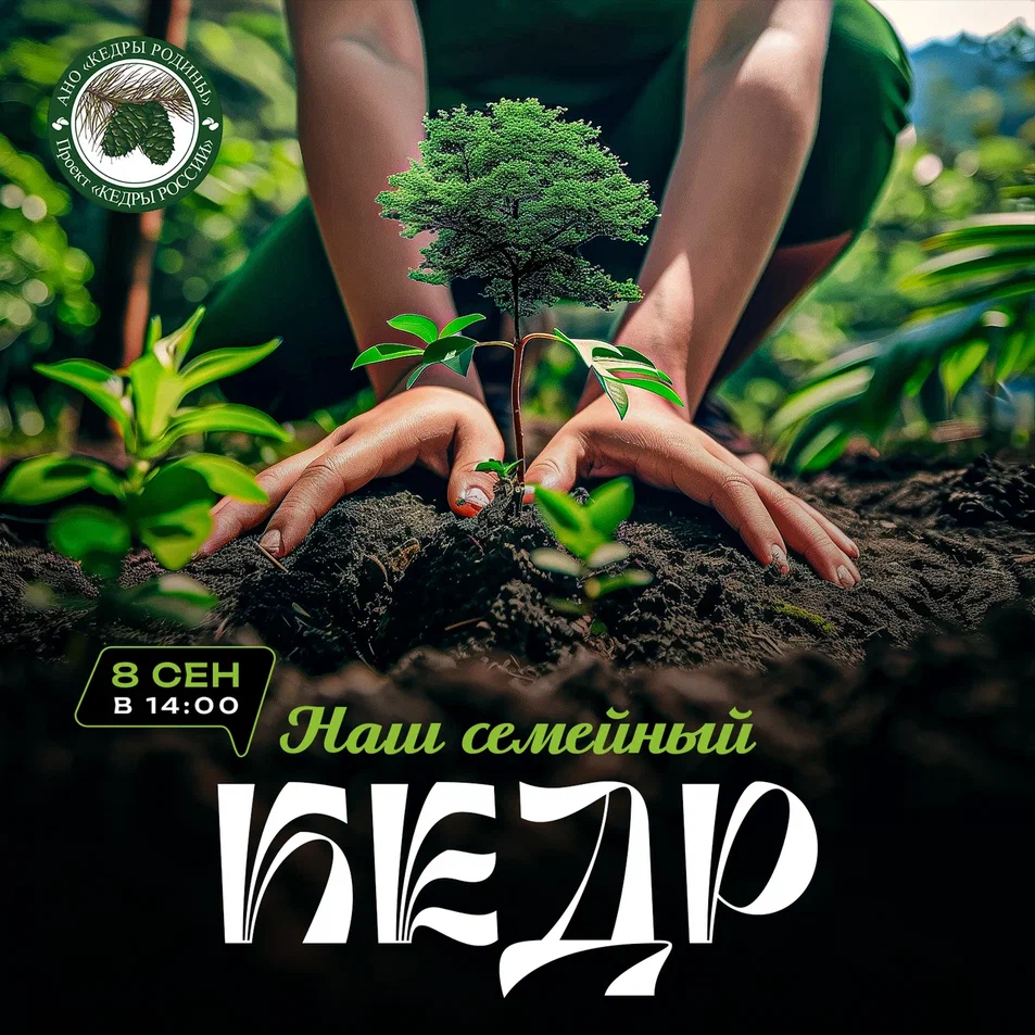 Эко-акция "Наш семейный кедр" (0+)